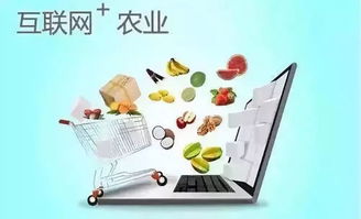 重磅 鹿邑县农村将通硬化路 只要你具备条件