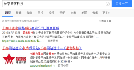 长春网站建设,哪家网络公司技术和服务
