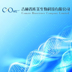 长春做网站公司 网站建设 网站设计 微信平台制作 亿人科技13756566613,18946773937,18186893973