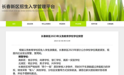 长春网站建设与发展概述